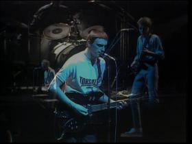 The Jam The Butterfly Collector (Live)